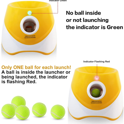 Automatic Dog Ball Launcher