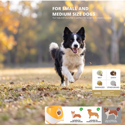 Automatic Dog Ball Launcher